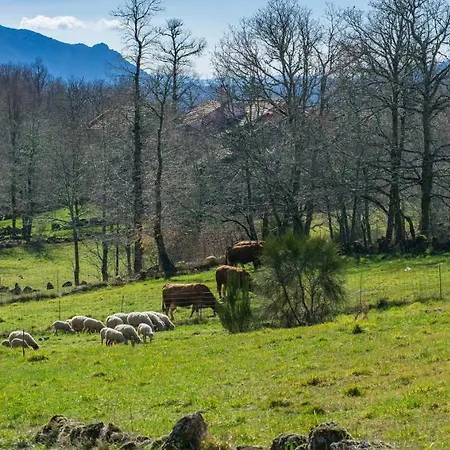 Nyaraló Casa Da Macheta Castro Laboreiro