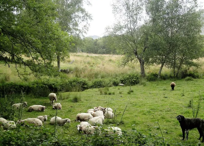 Casa Da Macheta קסטרו לבוריירו