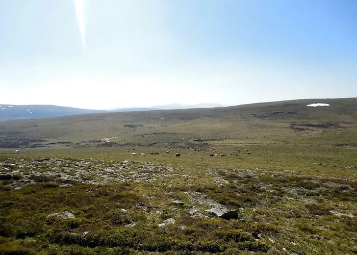 Casa Da Macheta * 卡斯特罗拉沃雷罗