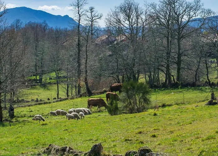 度假居 Casa Da Macheta 卡斯特罗拉沃雷罗